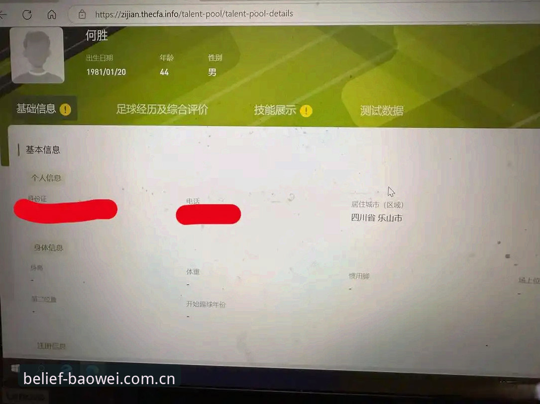 宝威体育中国官方主页英文版数据查询实用指南——从安装到结果一步到位